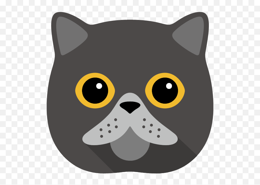 Your Personalised Cat Shop Cat Gifts Yappycom Emoji,Cute Cats With Emojis