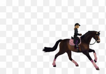 Sso Starstable Starstableonline Sticker - Halter Emoji,Horse Riding Emoji
