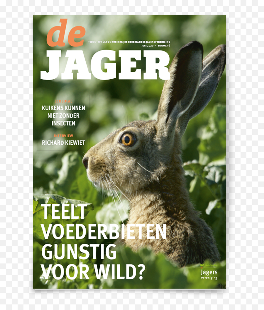 New Visual Identity For The Dutch Hunting Association Emoji,Hare Emotion