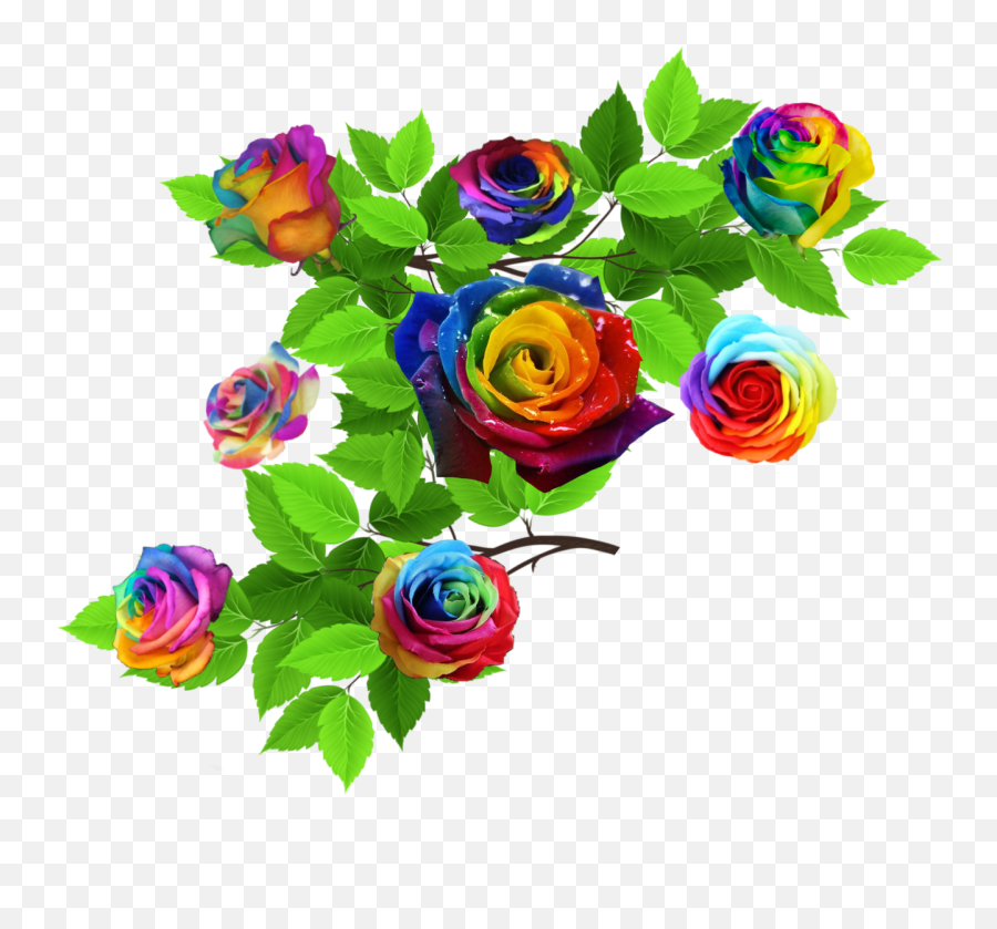 Rose Roses Nature Leaves 295011791200211 By Precious420pw Emoji,Rose Emoji
