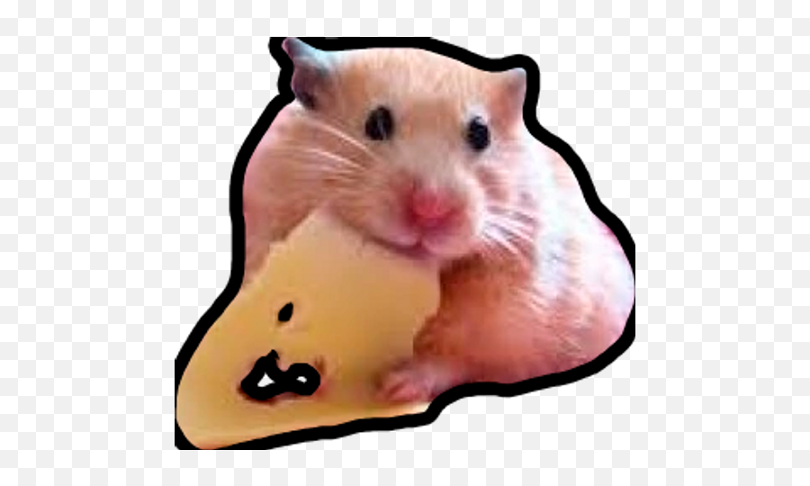Sticker Maker - Hamsters Memes Emoji,Frightened Hamster Slack Emoji