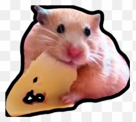 Sticker Maker - Hamsters Memes Emoji,Frightened Hamster Slack Emoji