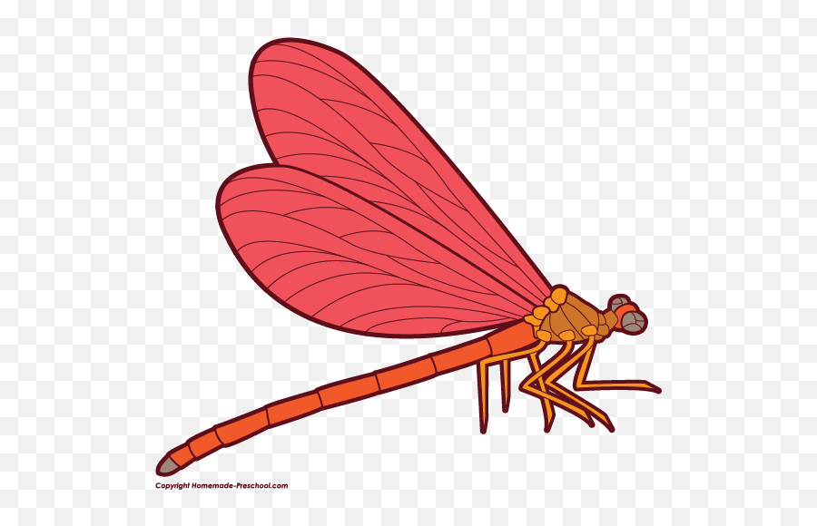 Free Dragonfly Clipart 4 - Red Dragonfly Clipart Emoji,Dragonfly Emoji