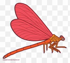Free Dragonfly Clipart 4 - Red Dragonfly Clipart Emoji,Dragonfly Emoji