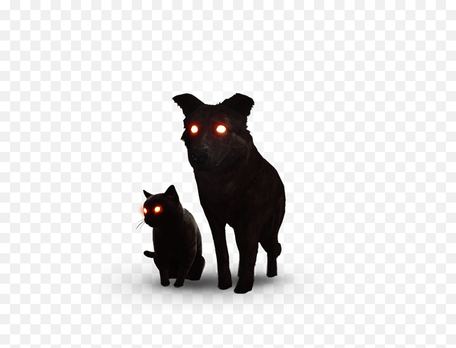 Sith Blackcat Cat Evil Mist Sticker - Dog Emoji,Evil Cat Emoji