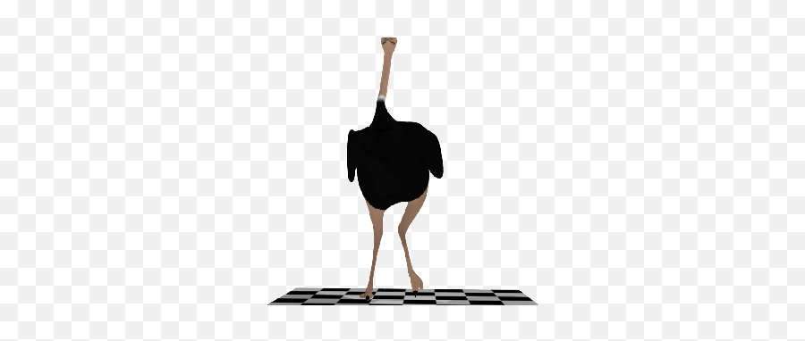 Agnelino Gif Find Share On Giphy Ostridge Gif - Lowgif Ostrich Running Gif Transparent Emoji,Trash Dove Emoji