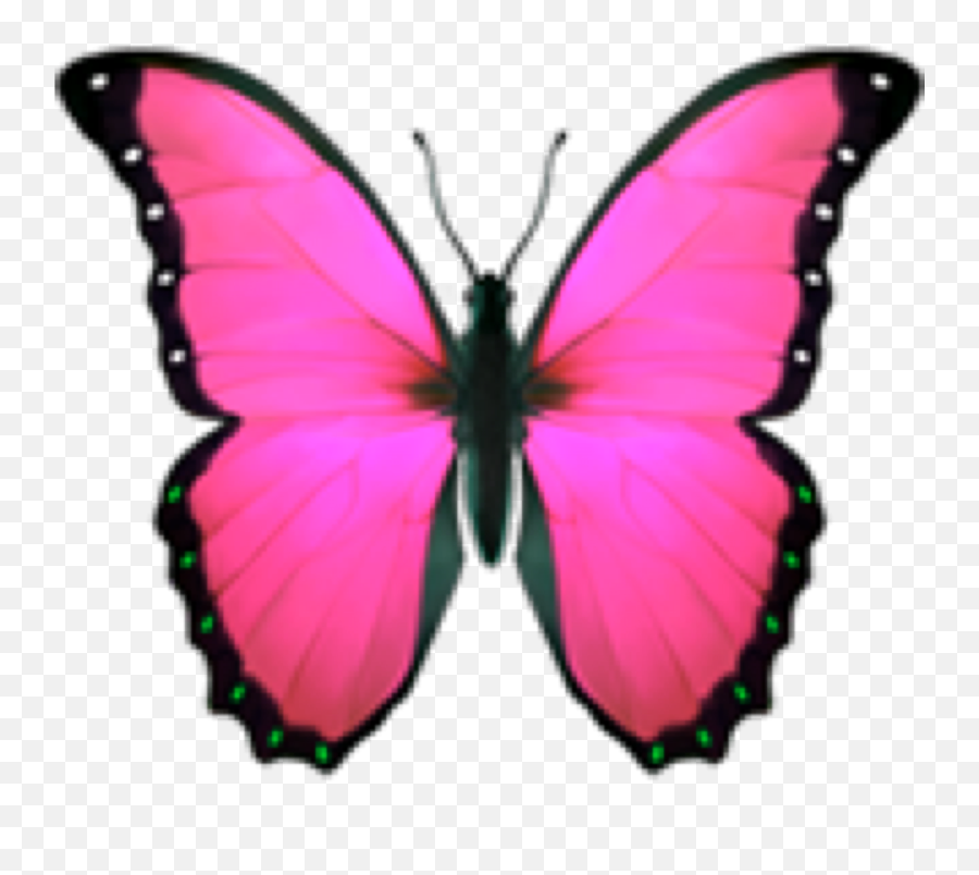 Butterfly Butterflywings Sticker - Butterfly Emoji Png Transparent,Emoji Wallpaper For Boys