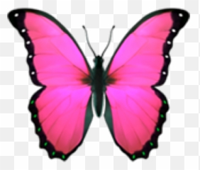 Butterfly Butterflywings Sticker - Butterfly Emoji Png Transparent,Emoji Wallpaper For Boys