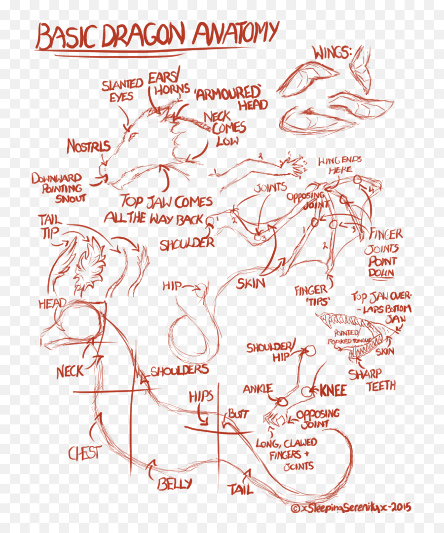Feel Learntodraw Drawing Image - Reference Dragon Anatomy Drawings Emoji,Downward Pointing Finger Emoji