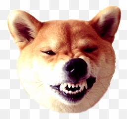 Dogecoin Transparent Png Archive Needs - Dogecoin Png Emoji,Shibe Emoji