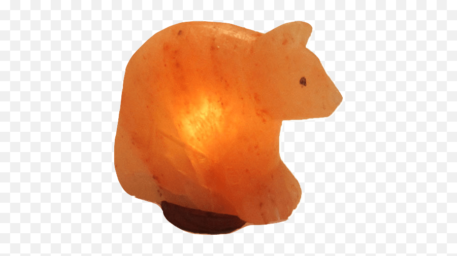 Himalayan Salt Bear Lamp - Animal Figure Emoji,Salt Emoji Transparent
