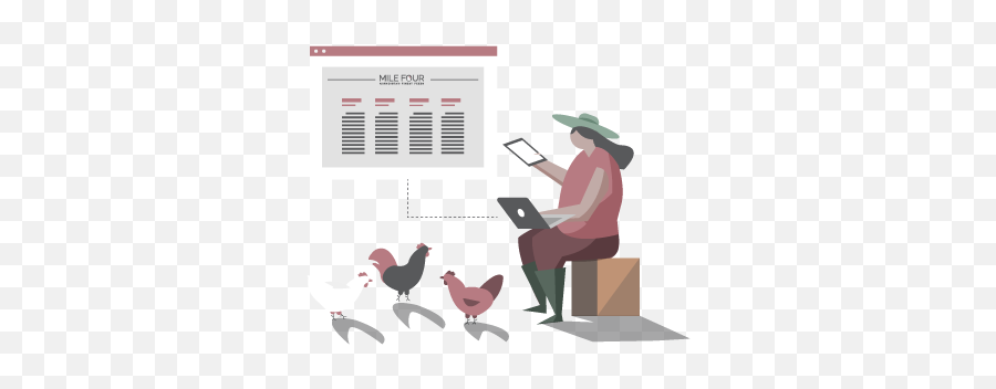 How To Breed Chickens - Chicken Coop Math Emoji,Cornish Cross Chicken Emotions