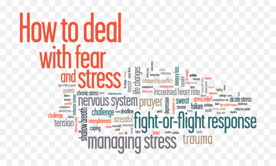 How To Deal With Fear And Stress - Automotive Testing Expo 2015 Emoji,Men Dealing With Emotions Biblically