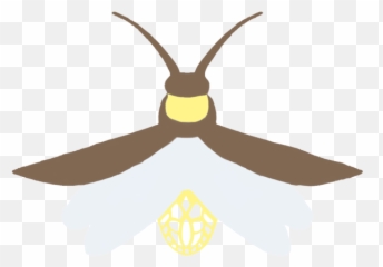 Download Firefly Transparent Background - Parasitism Emoji,Fireflies Meme Emojis