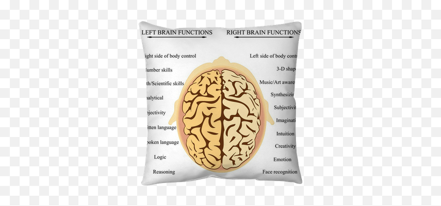 Brain Hemisphere Functions Throw Pillow U2022 Pixers - We Live Side Of The Brain Controls The Left Eye Emoji,Right Vs Left Brain Emotions