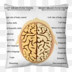 Brain Hemisphere Functions Throw Pillow U2022 Pixers - We Live Side Of The Brain Controls The Left Eye Emoji,Right Vs Left Brain Emotions