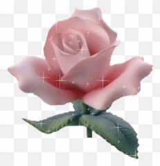 Top Hybrids Stickers For Android Ios - Stickers Gifs De Flores Emoji,Valentine Flowers Emotion Icon