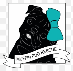 Fundraiser By Vicky Conway Muffinpug Rescue Saving China Pugs Emoji,Abstract Pug Emotion