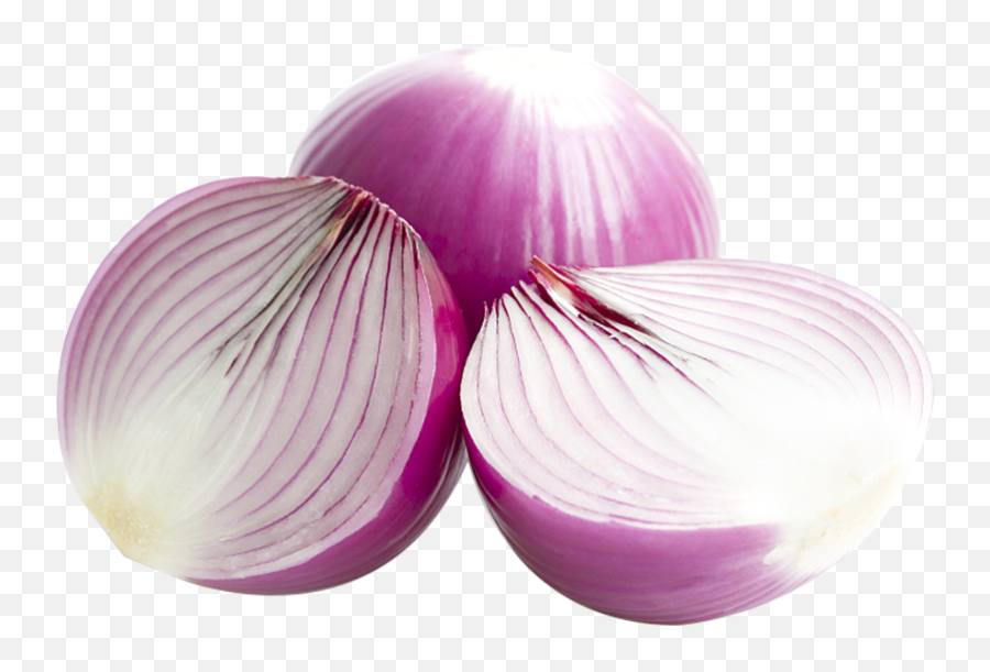 Fresh Farm Onion China Tradebuy China Direct From Fresh Emoji,Beatroot Emoji