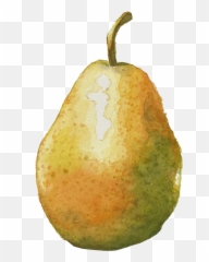 Pear Watercolor Notmyart Fruit Sticker - European Pear Emoji,Pear Emoji