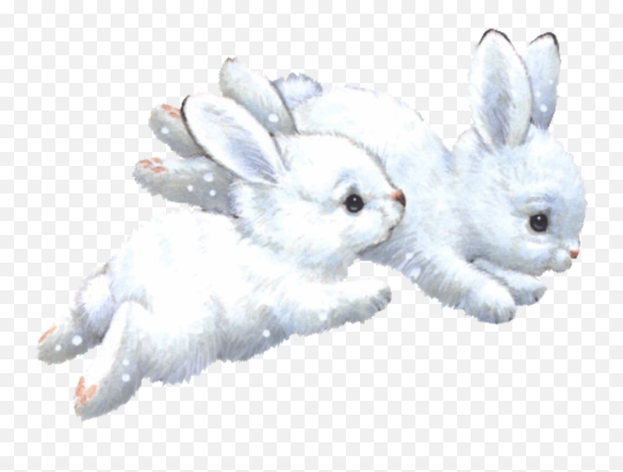 Bunnies Bunny Soft White Cottagecore - Bunnie Png Aesthetic Cottagecore Emoji,Snowshoe Emoji