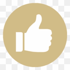 Satisfaction Guaranteed - Facebook Like Round Button Clipart Kimmel Park Emoji,Facebook Dislike Emoticon
