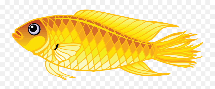 Gold Fish Png Image Resolution - Fish Products Emoji,Gold Fish Emoji
