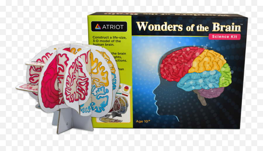 Wonders Of The Brain Science Kit - Brain Science Kit Emoji,Emotion Brain