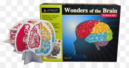Wonders Of The Brain Science Kit - Brain Science Kit Emoji,Emotion Brain