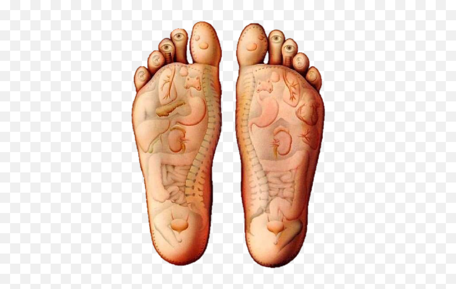 Stress Relieving Foot Massage On Google Play Reviews Stats Emoji,Reflexology Chart Emotions