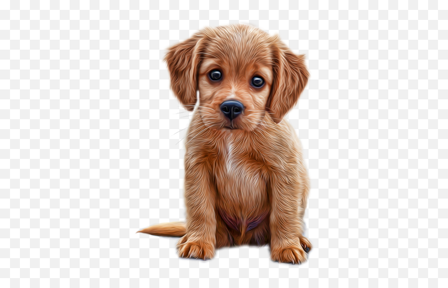 190 Small Dogs Ideas In 2021 - Dog Emoji,American Puppy Emoticons