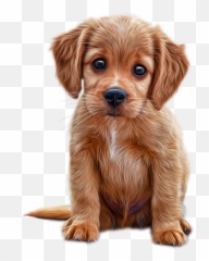 190 Small Dogs Ideas In 2021 - Dog Emoji,American Puppy Emoticons