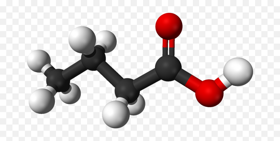 Butyric Acid A Very Smelly Molecule - Ball And Stick Model Of Fatty Acid Emoji,Smells Bad Emoji Socks