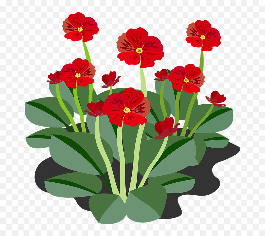 Png Images Pngs Icons Clipart Icon - Flower Plants Clipart Emoji,Plant, Emotions, Clipart