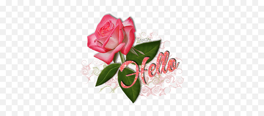 Animated Gif - Hello Gif Rose Emoji,Fleur Emoji Animated Gif - Hello Gif Rose Emoji,Fleur Emoji