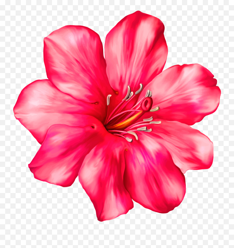 Hibiscus Tropical Flower Pink Sticker - Pink Tropical Flower Transparent Emoji,Tropical Flower Emoji