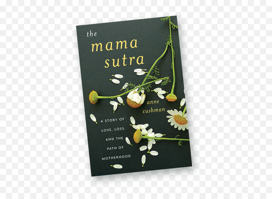 Anne Cushman U2013 Writer And Teacher - The Mama A Story Of And The Path Of Motherhood Emoji,Tara Brach On Emotions