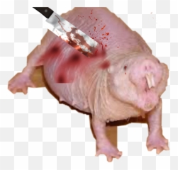 Guess The Piggy Roblox Character, Baamboozle - Baamboozle