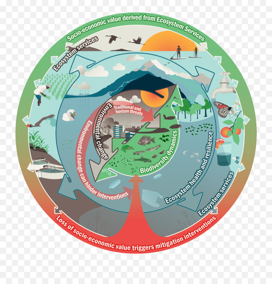 Documents - Authorea Wicked Problems Biodiversity Emoji,Work Emotion Rs Alpha