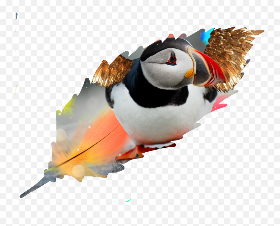 Puffins Fly Sticker - Atlantic Puffin Emoji,Puffin Emoji