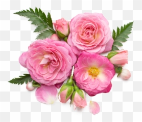 Best Florist In Hialeah Flower - Flower Top View Emoji,Homestead Miami Speedway Glass Case Of Emotion