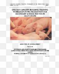 Pdf Pig Production Training Manual Original Johnson Ogwu - Language Emoji,Raw Emotion Hereford Boar