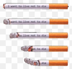 Cigarette Smoke Sticker - Cigarette Emoji,Cig Emoji