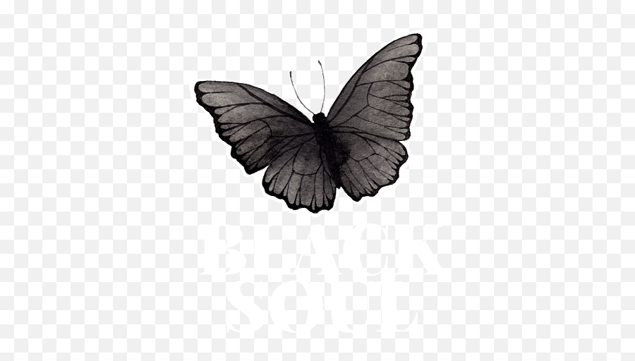 Black Butterfly Duvet Cover For Sale By Manuel Schmucker Emoji,Butterfly Emoji