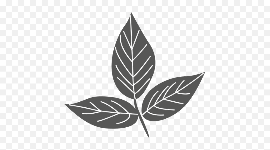 Ash Leaves Line Silhouette - Transparent Png U0026 Svg Vector File Transparent Leaf Silhouette Png Emoji,Leaves Emoji Png