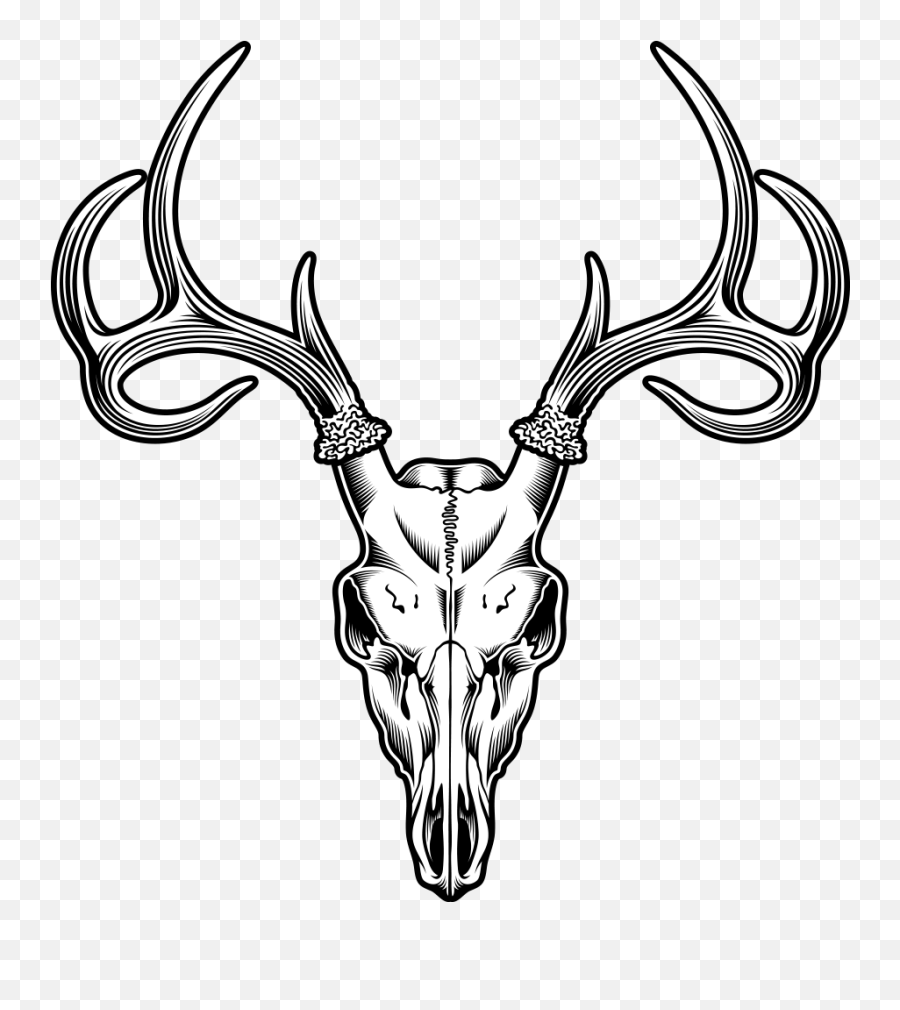 Deer Skull Drawing Illustration - Sheep Tattoo Png Download Deer Skull Vector Emoji,Skull Emoji Transparent Background