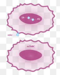 What Is Triple - Dot Emoji,Emotions And Breast Cancer