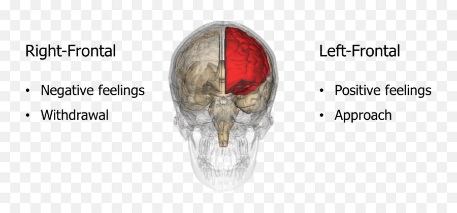 Electroencephalography - Language Emoji,Left Brain Right Brain Emotion