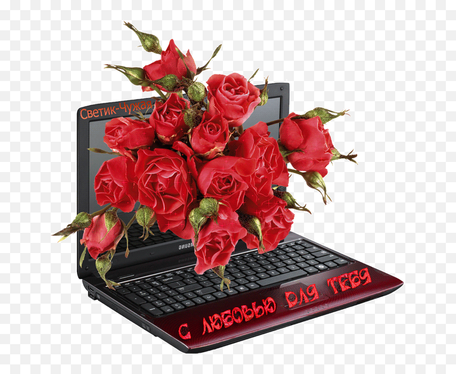 Компьютер и цветы. Открытка компьютер. Виртуальные открытки с днем рождения. Виртуальный букет цветов на день рождения.