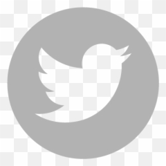 Home - Small But Digital Gray Twitter Logo Png Emoji,Burning Man Emoji